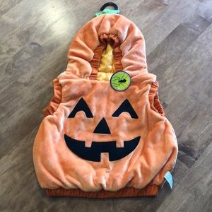 Pumpkin Halloween costume